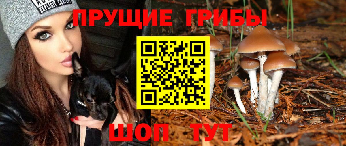 Галлюциногенные грибы прущие грибы Ишимбай