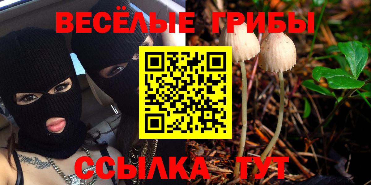 Ишимбай  Галлюциногенные грибы мицелий  Вход с VPN  купить  цена  Псилоцибиновые грибы MAGIC MUSHROOMS 